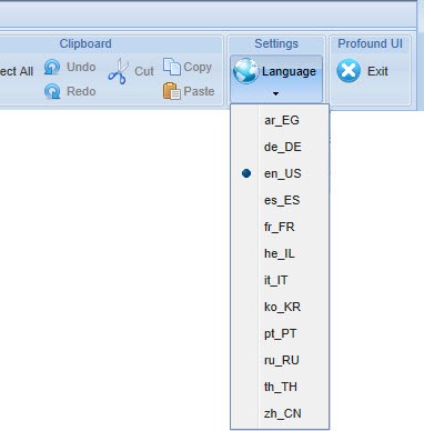 The Language Settings selector within Profound UI